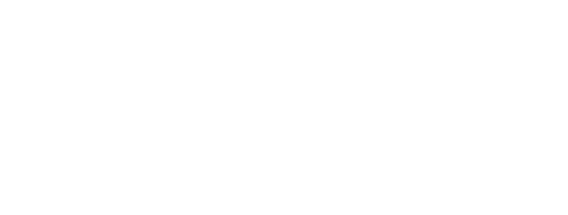 eis logo white